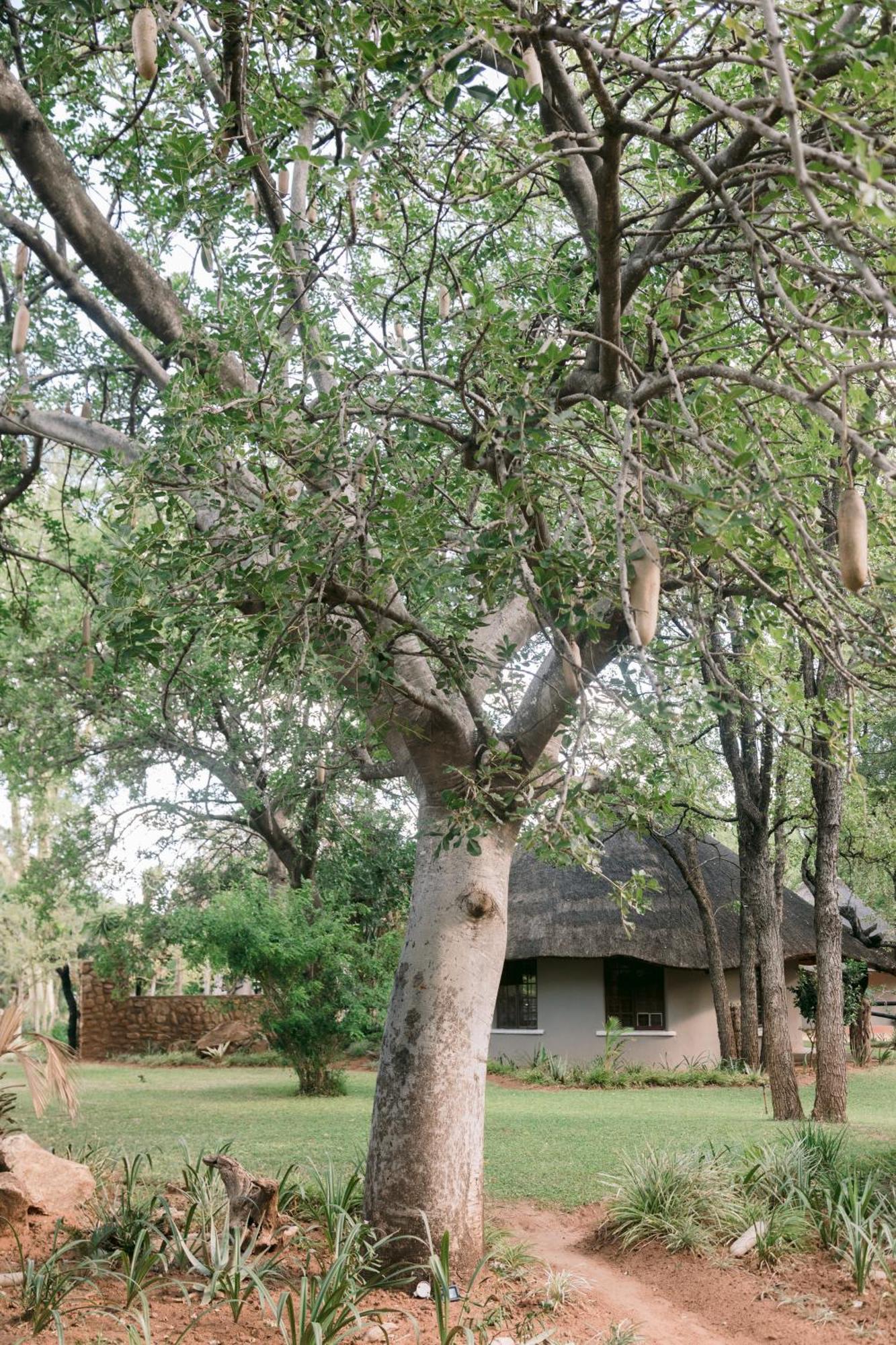 Limpokwena Nature Reserve Tokio Exterior foto